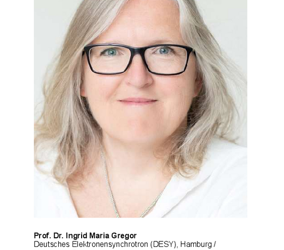 Deutsches Elektronen Synchrotron, Hamburg/Universität Bonn